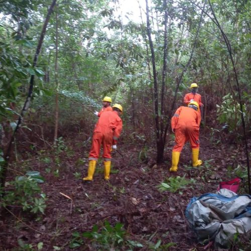 Surveyor melakukan pengukuran lahan di area proyek