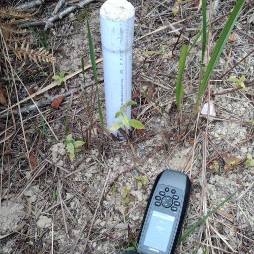 Surveyor melakukan pengukuran lahan di area proyek